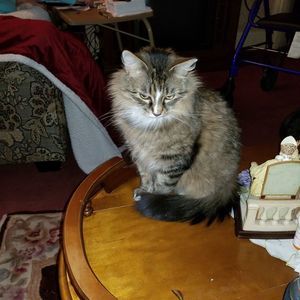 Meet your Posher, Janet